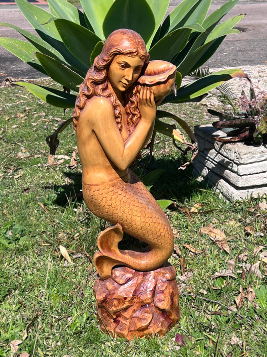 Mermaid Princess
